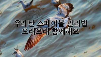 우레탄 스페어볼 관리법: 오래오래 함께해요