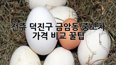 전주 덕진구 금암동 중고차 가격 비교 꿀팁🍯