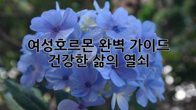 여성호르몬 완벽 가이드 🌸 건강한 삶의 열쇠 🔑