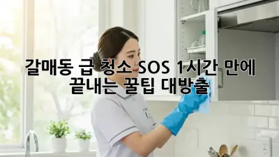 갈매동 급 청소 SOS🚨 1시간 만에 끝내는 꿀팁 대방출!